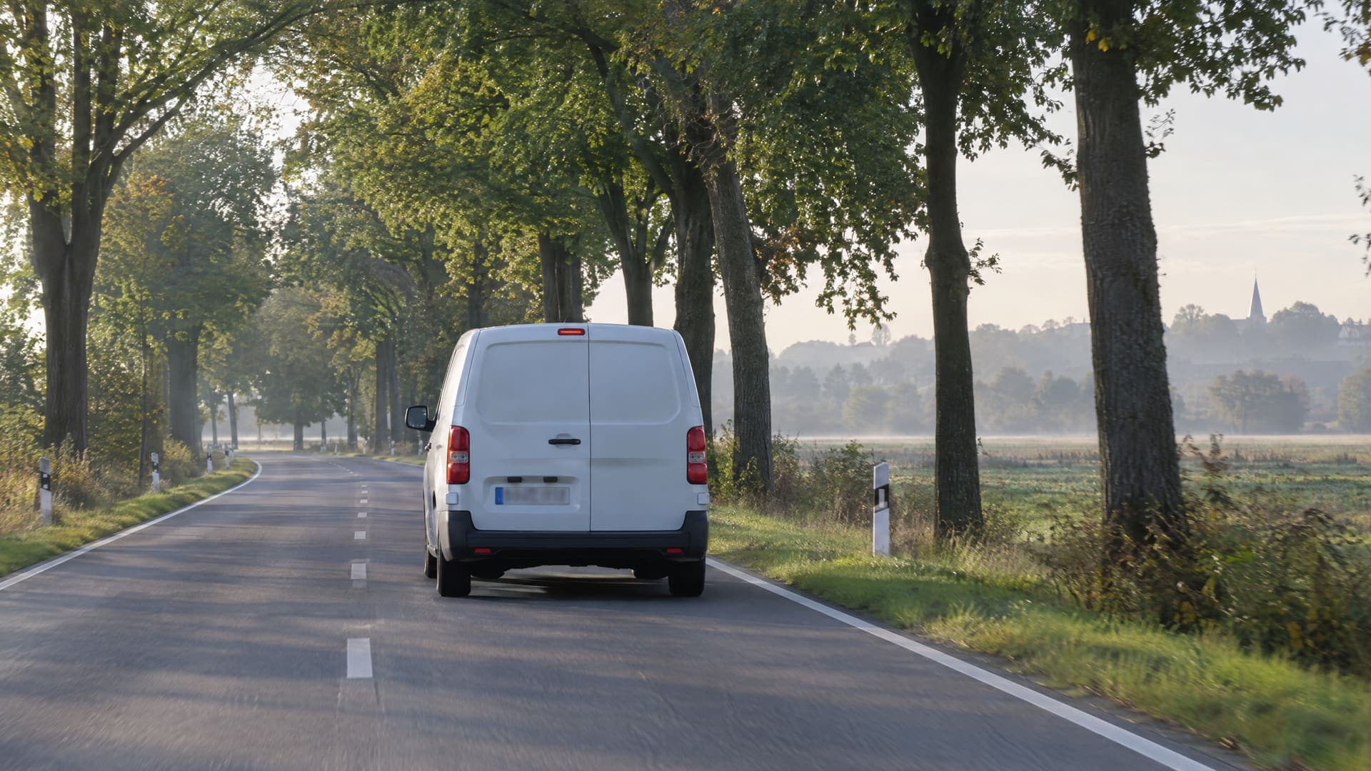 Weißer Kleintransporter ohne Beschriftung von hinten auf einer Landstraße mit Alleebäumen in Brandenburg im Morgenlicht, Kennzeichen nicht lesbar